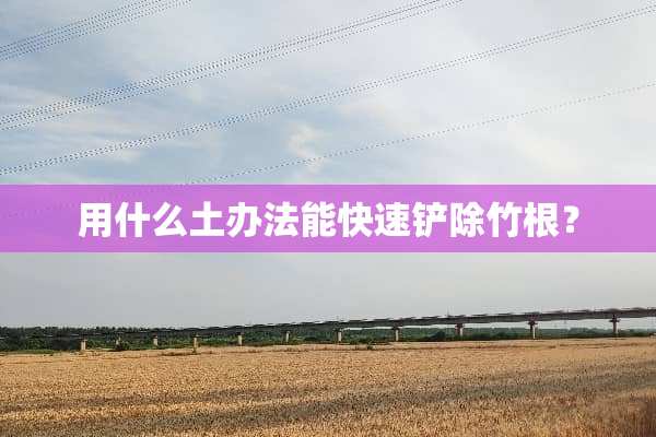 用什么土办法能快速铲除竹根？