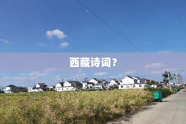 西藏诗词？