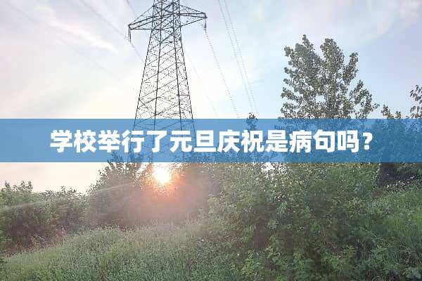 学校举行了元旦庆祝是病句吗？