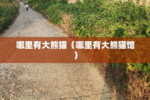 哪里有大熊猫（哪里有大熊猫馆）