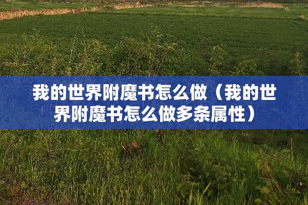 我的世界附魔书怎么做（我的世界附魔书怎么做多条属性）