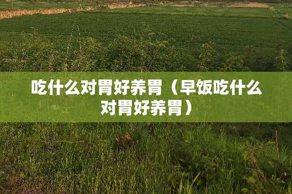 吃什么对胃好养胃（早饭吃什么对胃好养胃）
