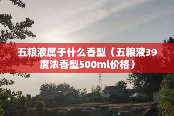 五粮液属于什么香型（五粮液39度浓香型500ml价格）