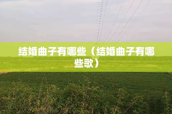 结婚曲子有哪些（结婚曲子有哪些歌）