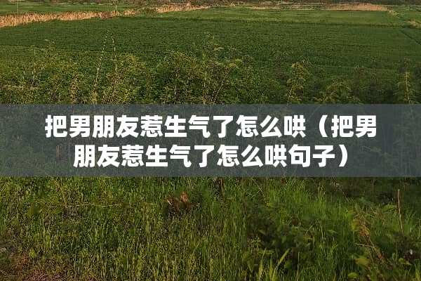 把男朋友惹生气了怎么哄（把男朋友惹生气了怎么哄句子）