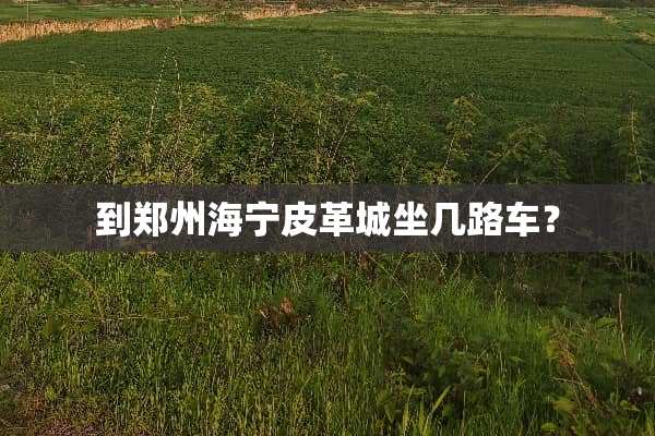 到郑州海宁皮革城坐几路车？