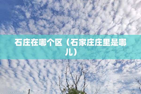 石庄在哪个区（石家庄庄里是哪儿）