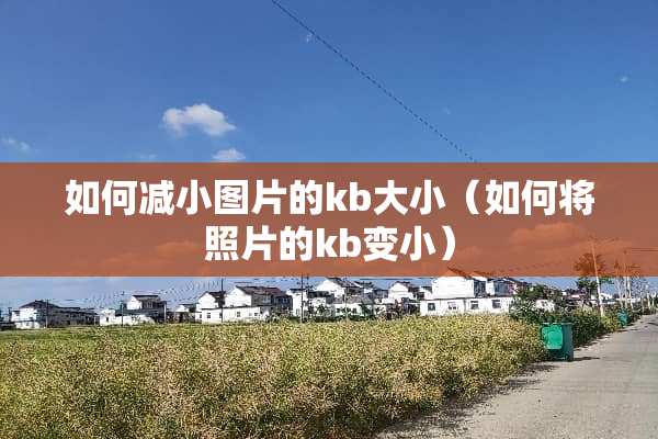 如何减小图片的kb大小（如何将照片的kb变小）