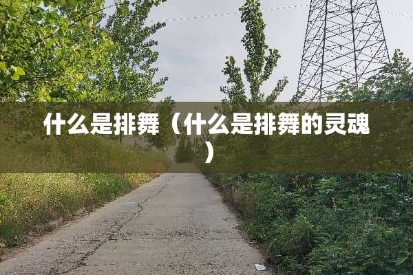 什么是排舞（什么是排舞的灵魂）