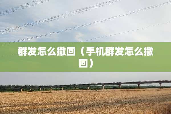 群发怎么撤回（手机群发怎么撤回）