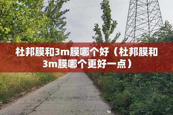杜邦膜和3m膜哪个好（杜邦膜和3m膜哪个更好一点）