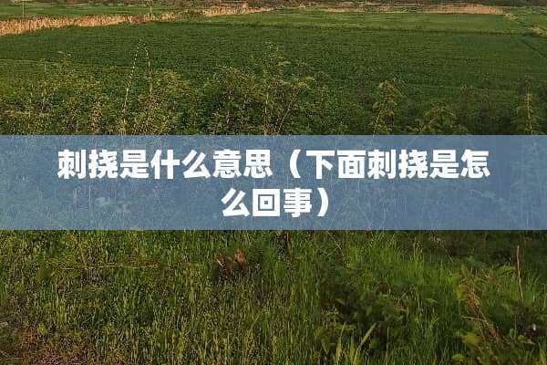 刺挠是什么意思（下面刺挠是怎么回事）