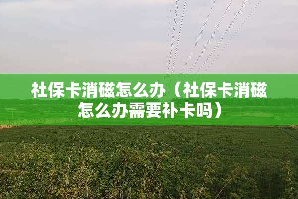 社保卡消磁怎么办（社保卡消磁怎么办需要补卡吗）