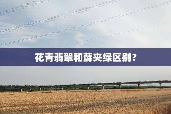 花青翡翠和藓夹绿区别？