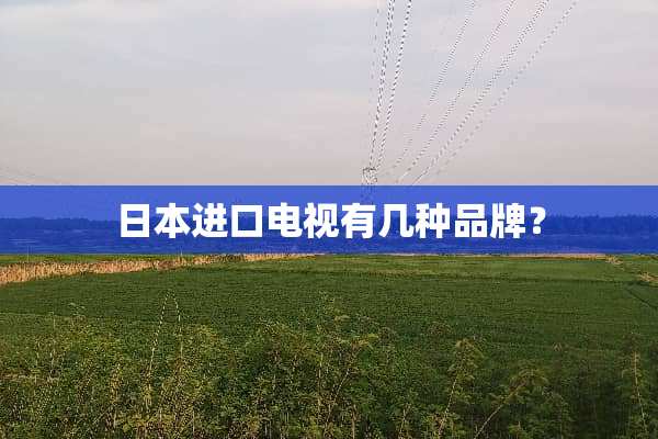 日本进口电视有几种品牌？