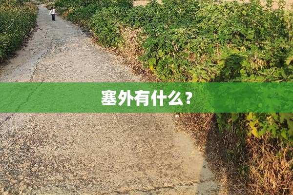 塞外有什么？