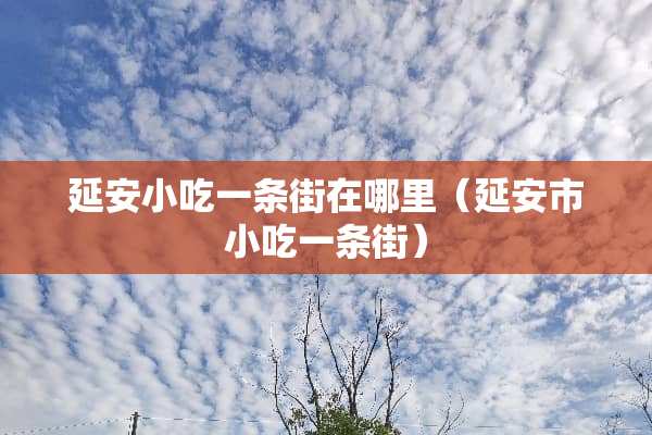 延安小吃一条街在哪里（延安市小吃一条街）