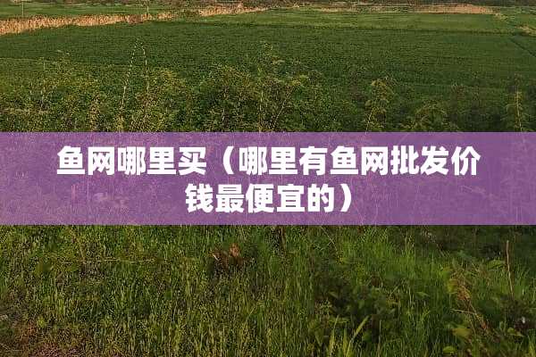 鱼网哪里买（哪里有鱼网批发价钱最便宜的）