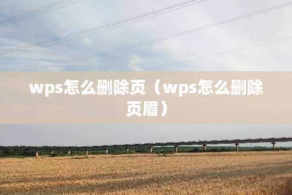 wps怎么删除页（wps怎么删除页眉）