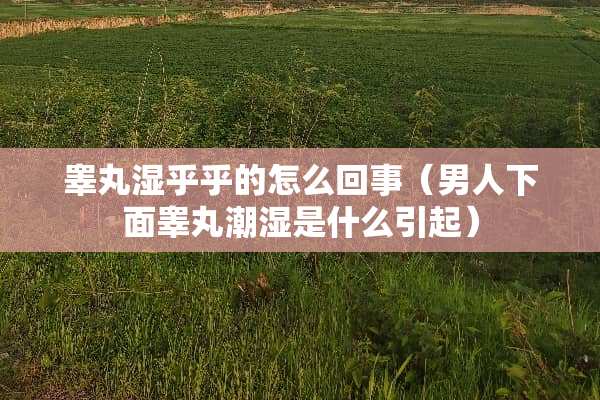 **湿乎乎的怎么回事（男人下面**潮湿是什么引起）