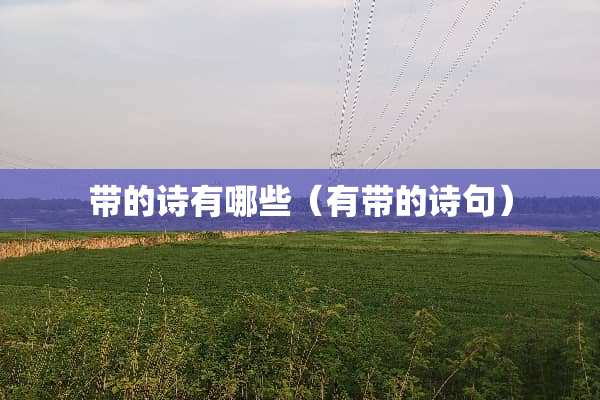 带的诗有哪些（有带的诗句）