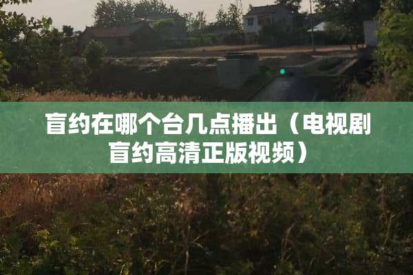 盲约在哪个台几点播出（电视剧盲约高清正版视频）