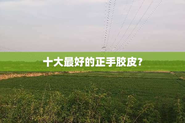 十大最好的正手胶皮？