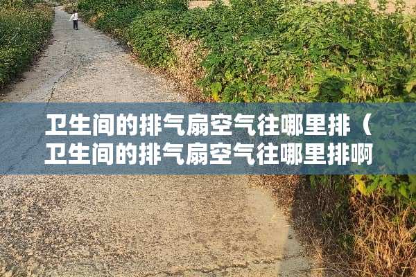 卫生间的排气扇空气往哪里排（卫生间的排气扇空气往哪里排啊）
