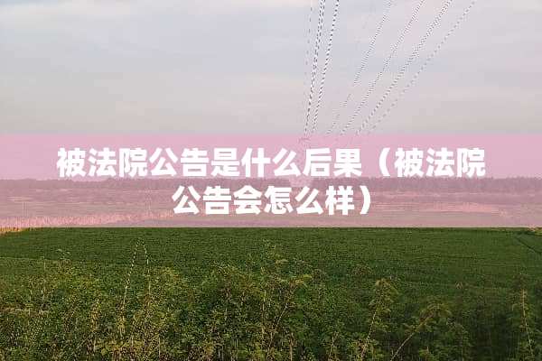 被法院公告是什么后果（被法院公告会怎么样）