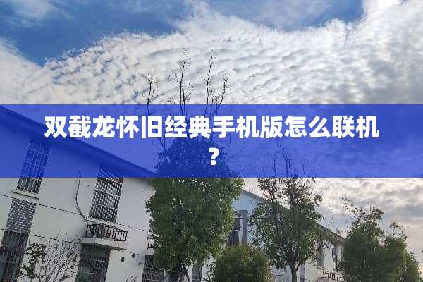双截龙**经典手机版怎么联机？