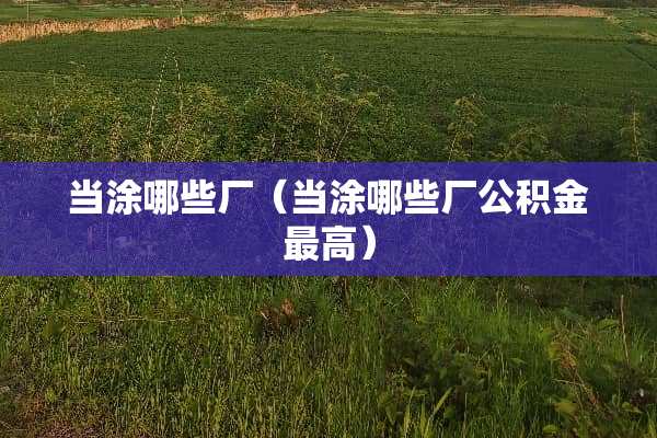 当涂哪些厂（当涂哪些厂公积金最高）