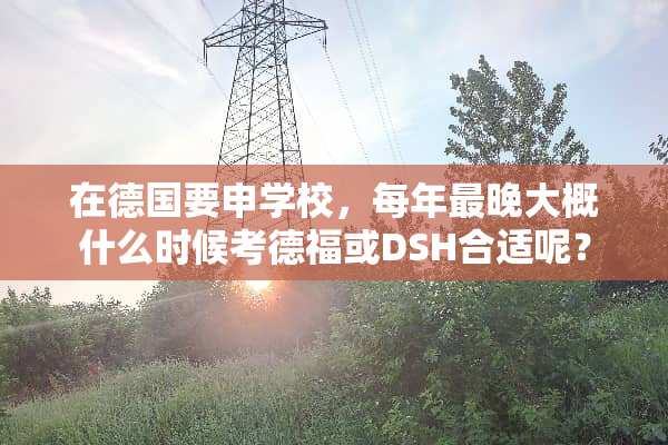 在德国要申学校，每年最晚大概什么时候考德福或DSH合适呢？