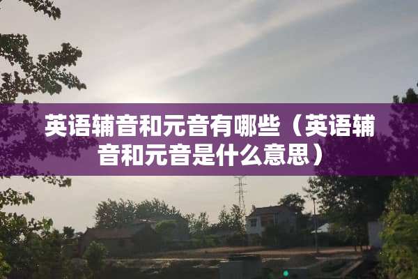 英语辅音和元音有哪些（英语辅音和元音是什么意思）