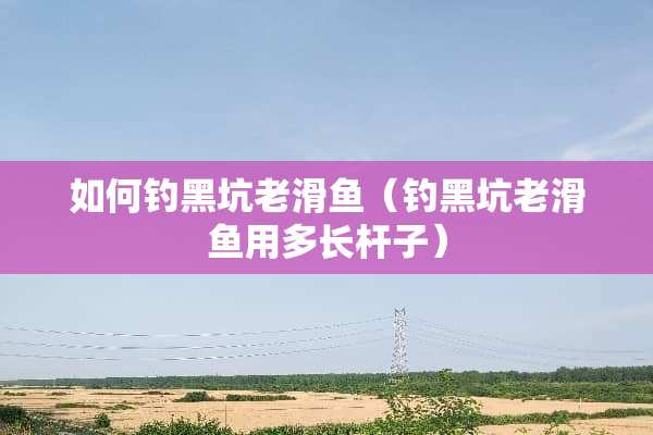如何钓黑坑老滑鱼（钓黑坑老滑鱼用多长杆子）