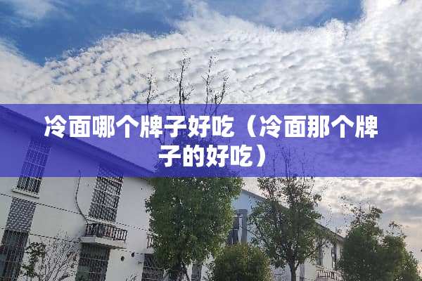 冷面哪个牌子好吃（冷面那个牌子的好吃）