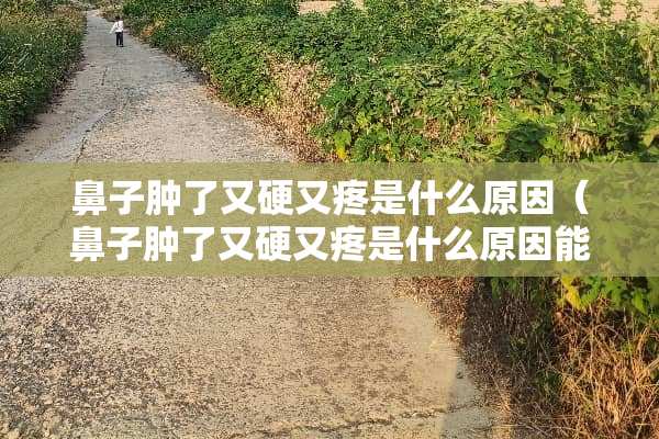 鼻子肿了又硬又疼是什么原因（鼻子肿了又硬又疼是什么原因能挤出脓）