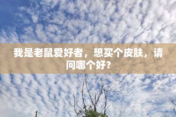 我是老鼠爱好者，想买个皮肤，请问哪个好？