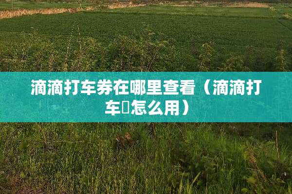 滴滴打车券在哪里查看（滴滴打车劵怎么用）