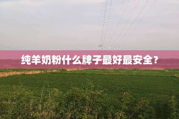 纯羊奶粉什么牌子最好最安全？