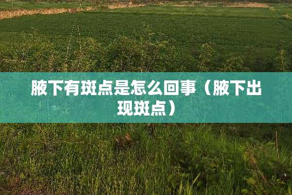 腋下有斑点是怎么回事（腋下出现斑点）