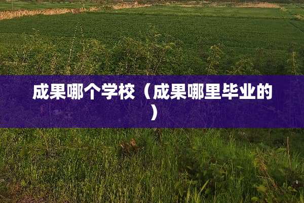 成果哪个学校（成果哪里毕业的）