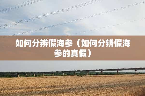 如何分辨假海参（如何分辨假海参的真假）