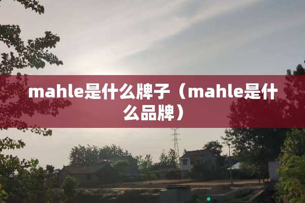 mahle是什么牌子（mahle是什么品牌）