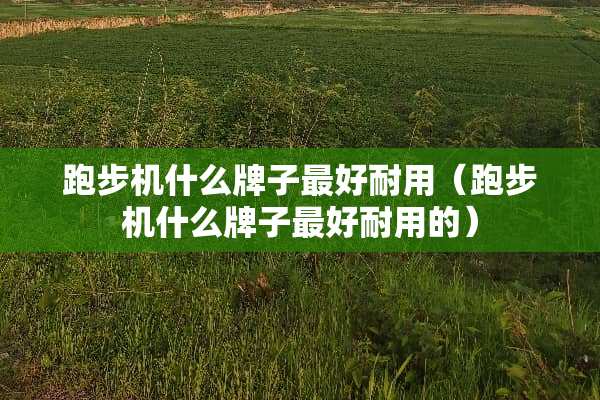 跑步机什么牌子最好耐用（跑步机什么牌子最好耐用的）