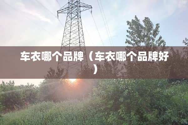 车衣哪个品牌（车衣哪个品牌好）
