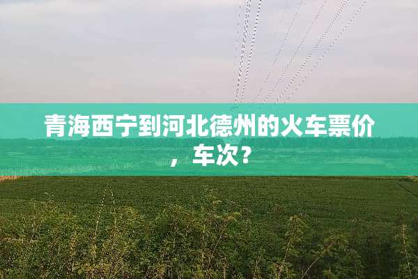 青海西宁到河北德州的火车票价，车次？