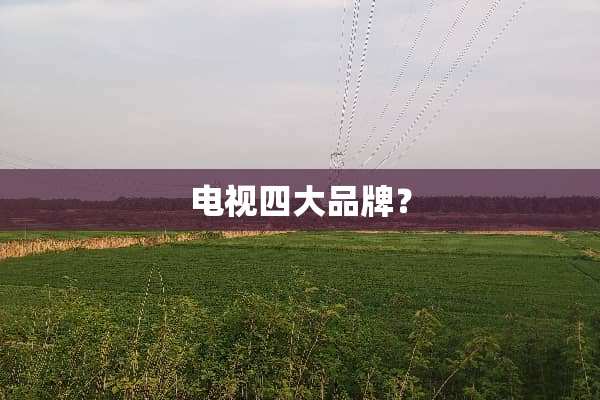 电视四大品牌？