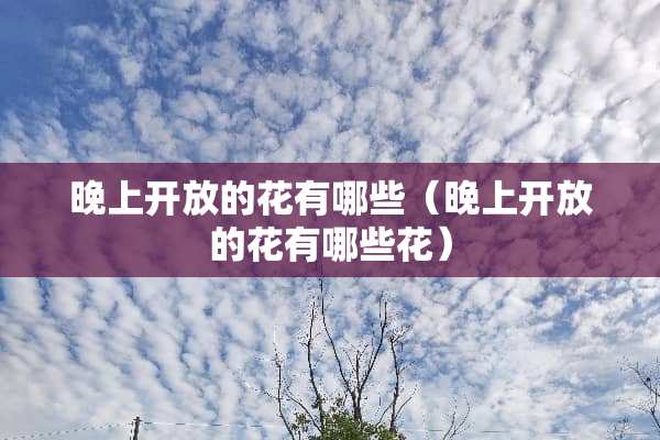 晚上开放的花有哪些（晚上开放的花有哪些花）