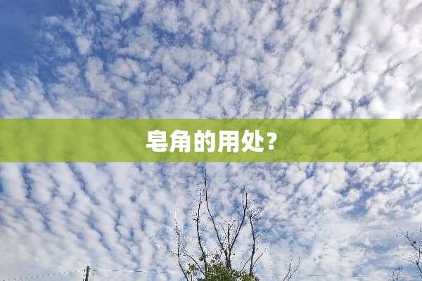 皂角的用处？