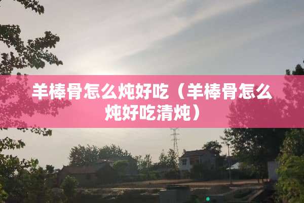 羊棒骨怎么炖好吃（羊棒骨怎么炖好吃清炖）